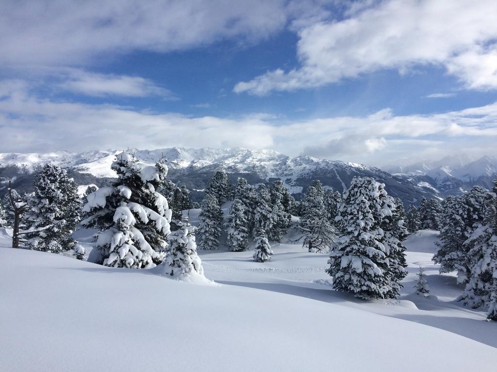 Apartament Martlerhof Aschau Im Zillertal Zewnętrze zdjęcie