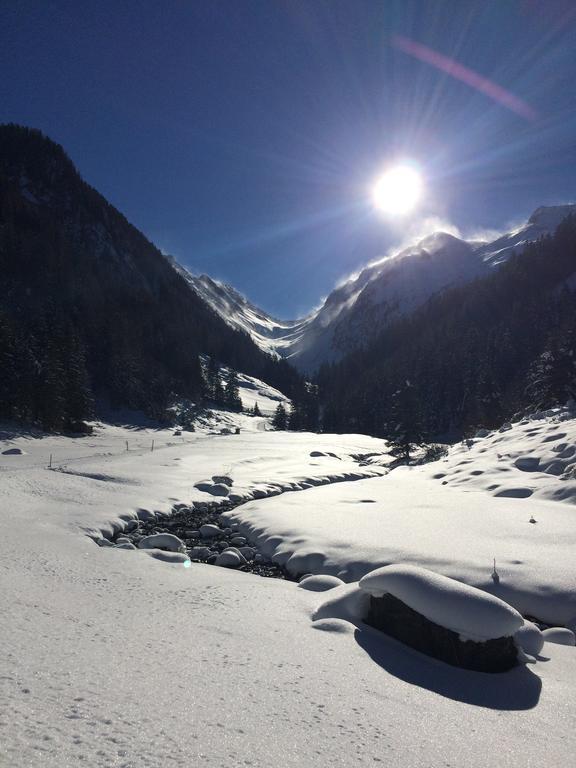 Apartament Martlerhof Aschau Im Zillertal Zewnętrze zdjęcie